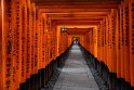 36 Kyoto, fushima inari shrine